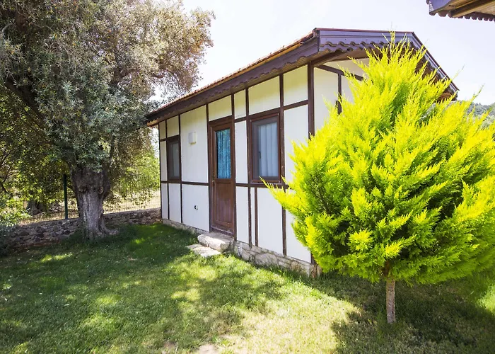 Bed & Breakfast Bal Badem *