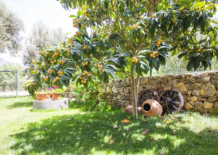 Bal Badem Alojamento de Acomodação e Pequeno-almoço *