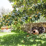 Bal Badem Bed & Breakfast *