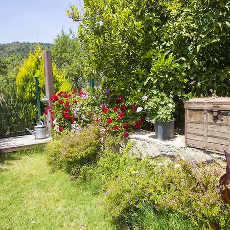 Bal Badem Bed & Breakfast