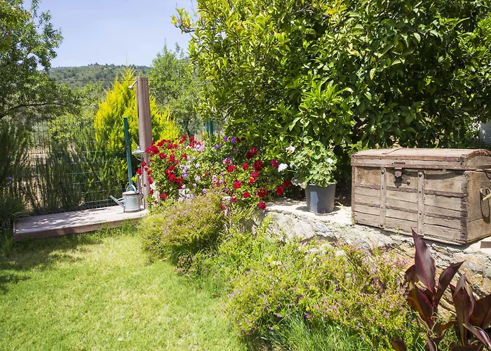 Bal Badem Bed & Breakfast