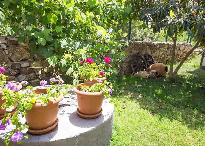 Bed & Breakfast Bal Badem